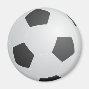 サッカーボールの磁石 マグネット