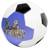 サッカーボールの青いメルカット サッカーボール (3/4)