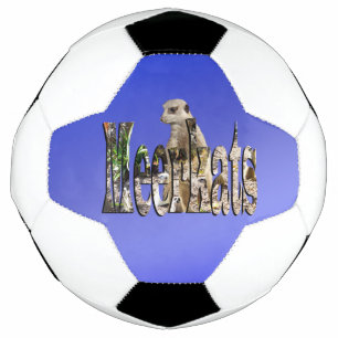 サッカーボールの青いメルカット サッカーボール