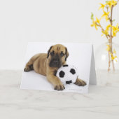 サッカーボールを持つグレートデーンの子犬 カード (黄色い花)