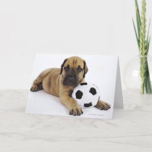 サッカーボールを持つグレートデーンの子犬 カード