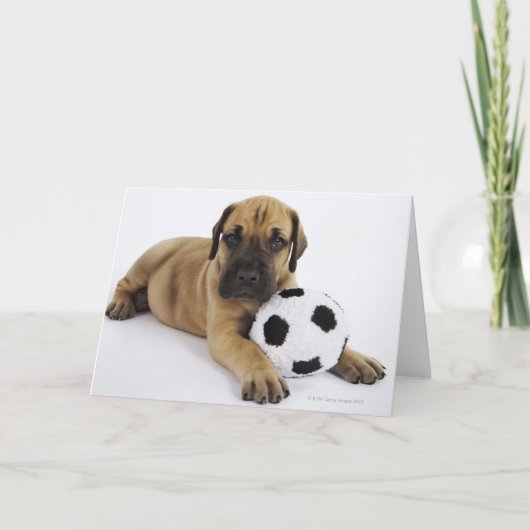 サッカーボールを持つグレートデーンの子犬 カード (正面)