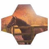 サッカーボールを牧草地に置いた馬 サッカーボール (フラット)