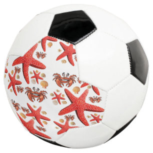 サッカーボールカニ星ビーチおもしろい サッカーボール