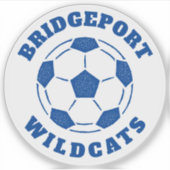 サッカーボールチーム名ブルー シール (正面)