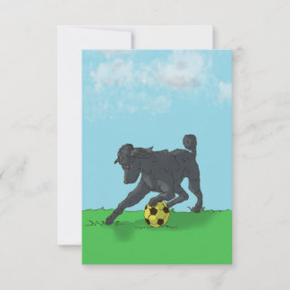 サッカーボールノートカード付きブラックプードル サンキューカード