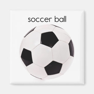 サッカーボール冷却装置磁石 マグネット