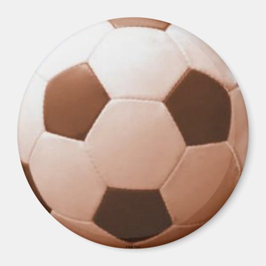 サッカーボール磁石 マグネット (正面)