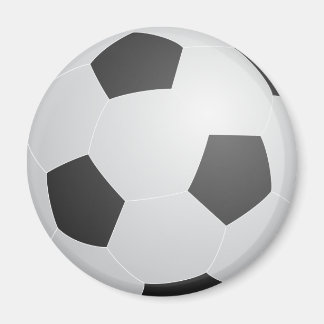 サッカーボール磁石 マグネット
