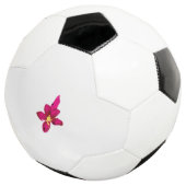 サッカーボール (3/4)