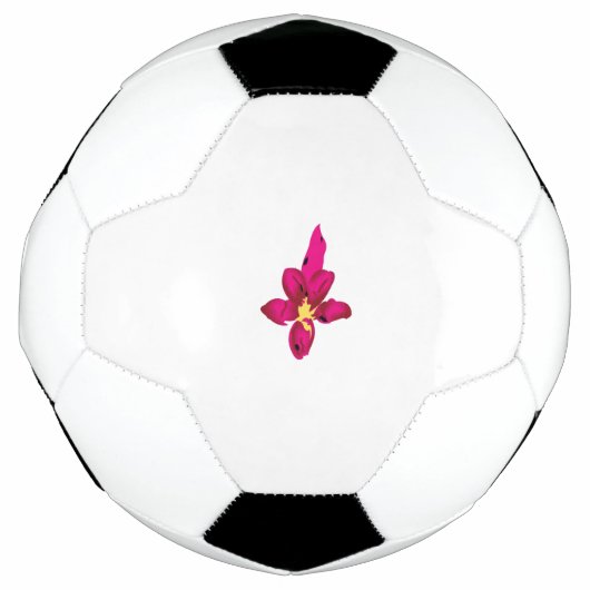 サッカーボール (正面)
