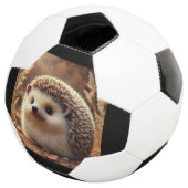 サッカーボール (3/4)
