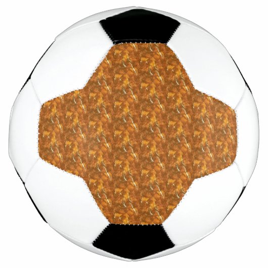 サッカーボール (正面)