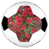 サッカーボール (回転)