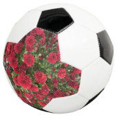 サッカーボール (3/4)