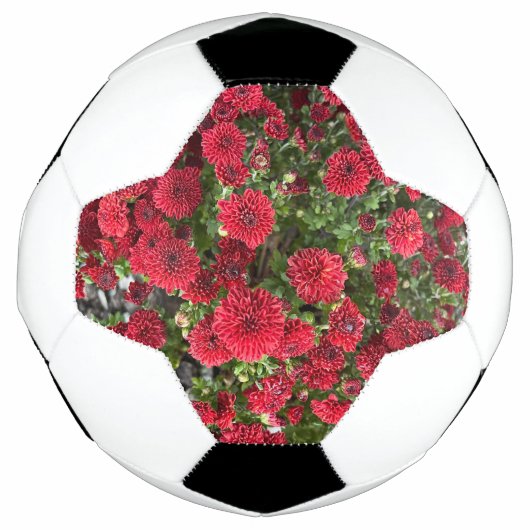 サッカーボール (正面)