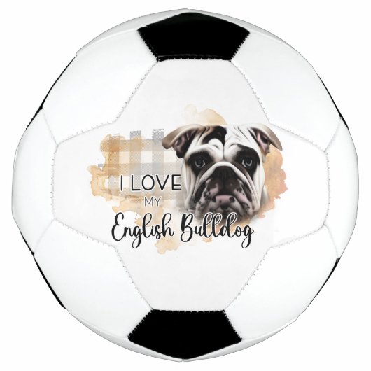 サッカーボール (正面)