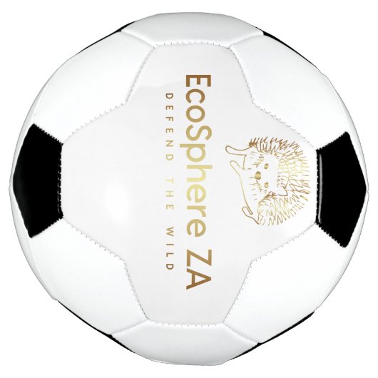 サッカーボール (回転)