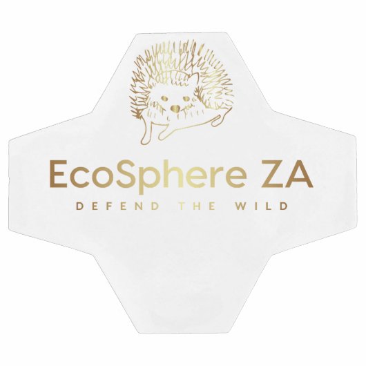 サッカーボール (フラット)