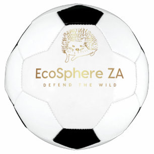 サッカーボール