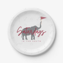 サッカー土曜日の南紙プレート