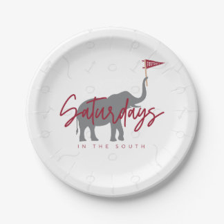 サッカー土曜日の南紙プレート ペーパープレート