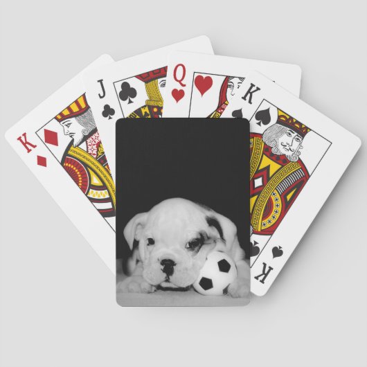 "サッカー子犬"の英国のブルドッグの写真撮影 トランプ (裏面)