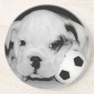 "サッカー子犬"の英国のブルドッグ コースター