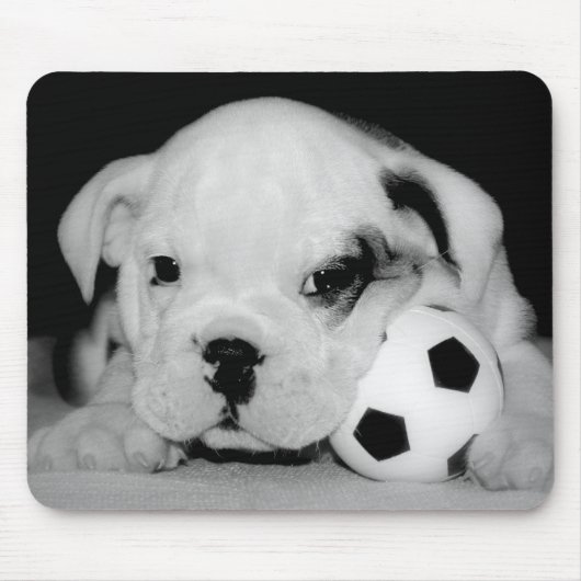 "サッカー子犬"の英国のブルドッグ マウスパッド (正面)