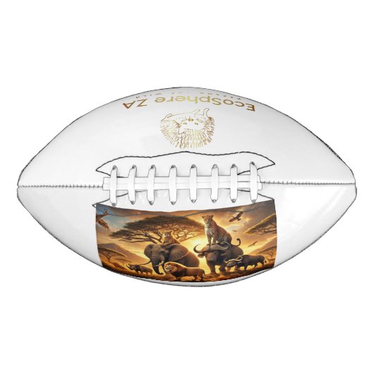 サッカー アメリカンフットボール (正面)