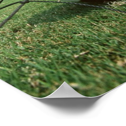 サッカー ポスター (角)