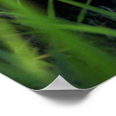 サッカー ポスター (角)