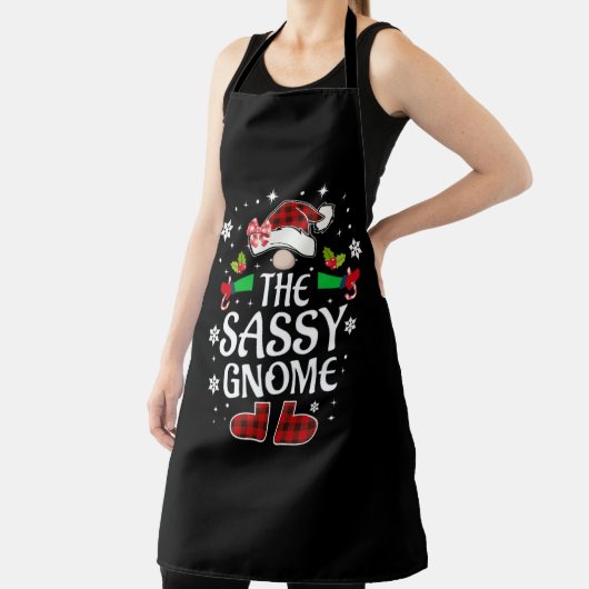 サッシー格言 エプロン (インサイチュ)