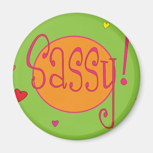 サッシー磁石 マグネット (正面)