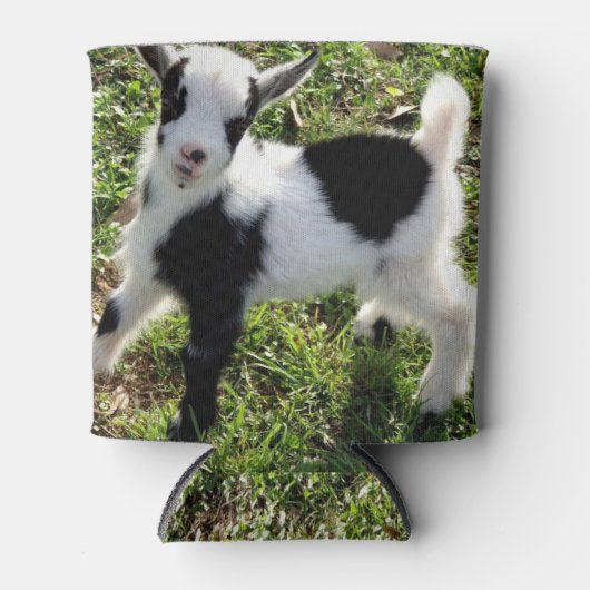 サッシー黒と白のナイジェリアの矮性ヤギ子 缶クーラー (正面)