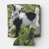 サッシー黒と白のナイジェリアの矮性ヤギ子 缶クーラー (裏面)