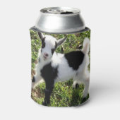 サッシー黒と白のナイジェリアの矮性ヤギ子 缶クーラー (缶裏面)