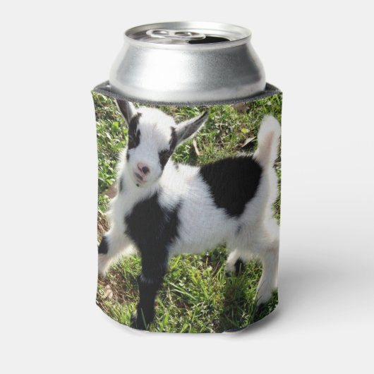 サッシー黒と白のナイジェリアの矮性ヤギ子 缶クーラー (缶裏面)