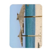 サッチビーチ傘 マグネット (縦)