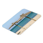 サッチビーチ傘 マグネット (左側)