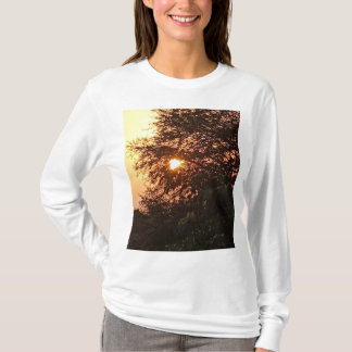 サティヤムグループTシャツ Tシャツ