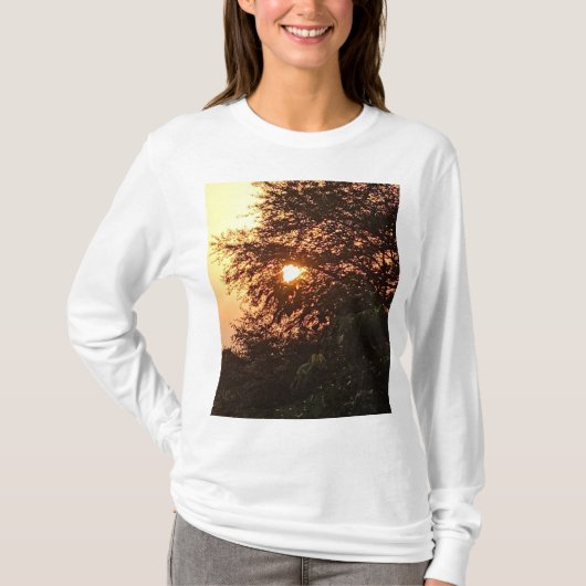 サティヤムグループTシャツ Tシャツ (正面)