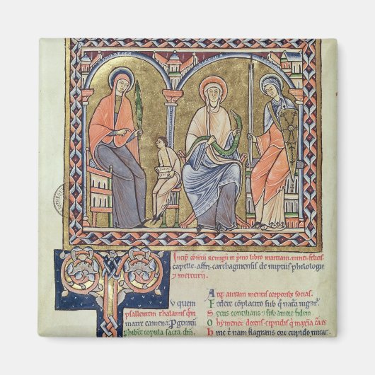 「サティリコン」の文法・方言・レトリック マグネット (正面)