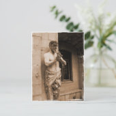 サティル ポストカード (スタンド正面)