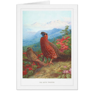 サテュロスTragopan;