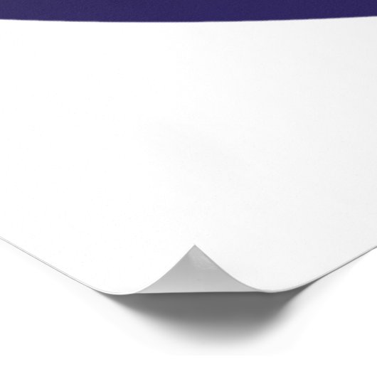 サテライトイン宇宙 ポスター (角)