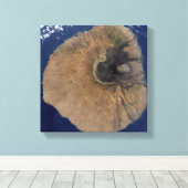 サテライトビュー山フォゴ キャンバスプリント (インサイチュ (ウッドフロア))