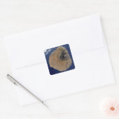 サテライトビュー山フォゴ スクエアシール (封筒)