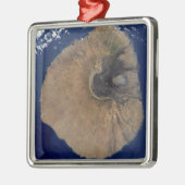 サテライトビュー山フォゴ メタルオーナメント (左)