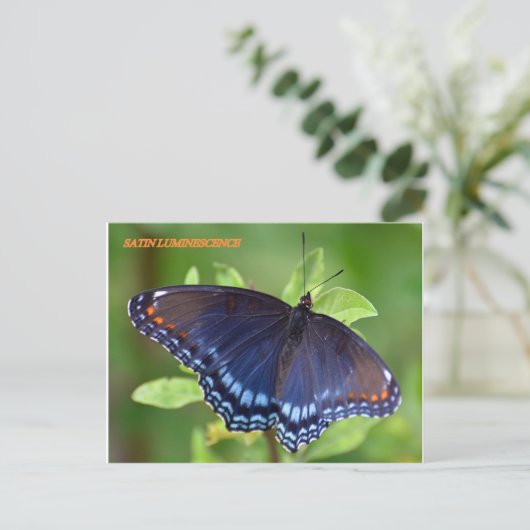 サテン発光 ポストカード (スタンド正面)